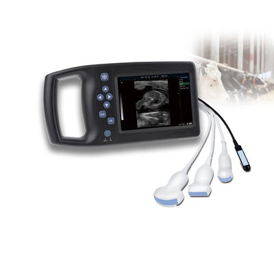 качество Veterinary Ultrasound Probe Medical Equipment Good Support Veterinary Ultrasound Scanner Laptop Ultrasound Sonoscape Livestock Price завод